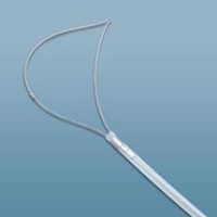 Endoscopic Polypectomy Snare - Metallic Alloy, Adjustable Loop Size | Lightweight, Flexible, Precise Capture, Easy Handling