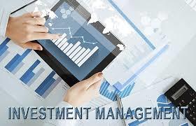 investment Management service