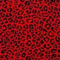 Trendy African Print Fabric