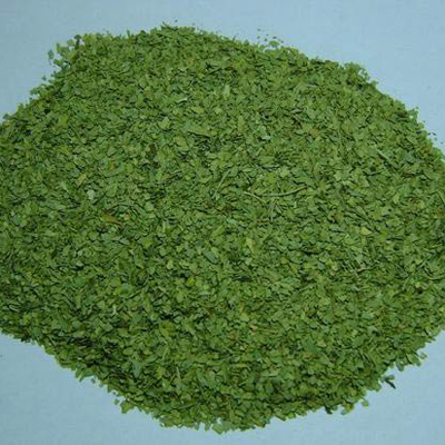 Senna T Cut Leaves