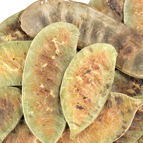 Senna Pods