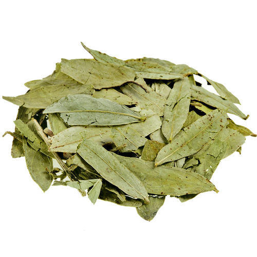 Senna Leaves