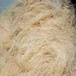 White Coir Fiber