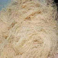 White Coir Fiber - Coir Fiber, Variable Length, Off-white Color | Durable, Eco-friendly, High Strength, Saltwater Resistant, Waterproof, Versatile Uses