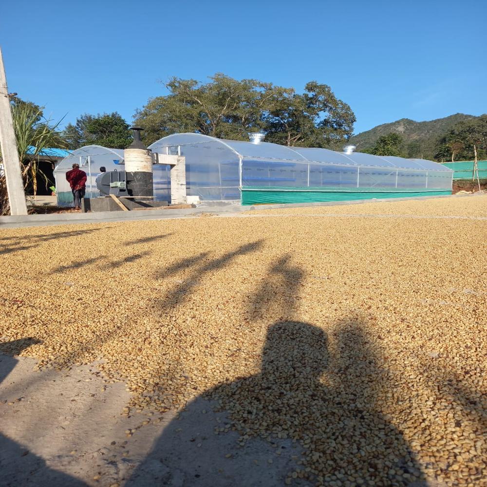 Fruit Dryer Manufacture