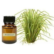 Vetiver Oil