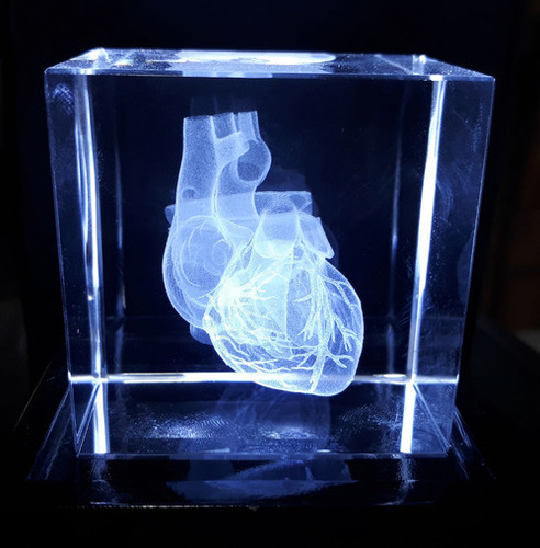 Human Heart 3D Engraved