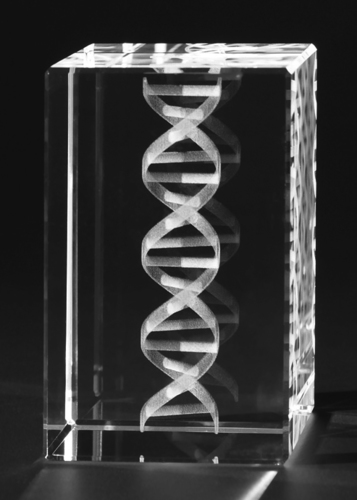 Crystal DNA Model 3D Engraved