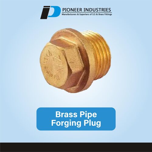 Brass Pipe Forging Plug