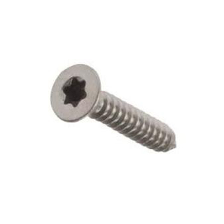 Torx CSK Self Tapping Screw SS-304