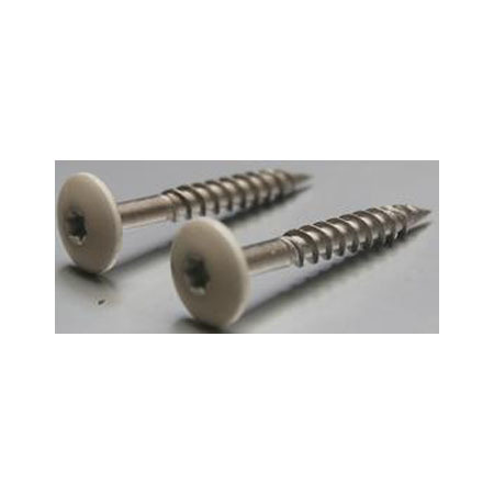 N2L41 Facade Screw