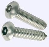 Pin Hex Button Head Self Tapping Screw Application: Theft Proof