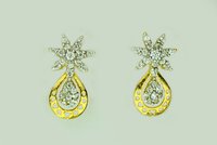 Shiny Star Earring Gender: Women