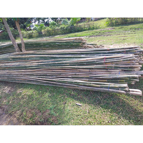 Bamboo Sticks