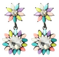 Colour Drop Earing