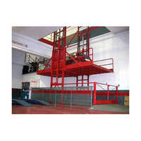 Cage Elevator - Cast Iron Platform, Rugged Build, Paint Coated Finish | Safe Material Handling, Dimensional Customization, No Vibration