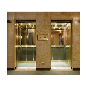 Goods Cum Passenger Elevators