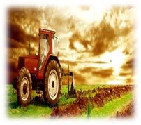 Universal Tractor Transmission Oil Additive