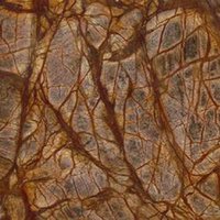 Rainforest Brown Marble