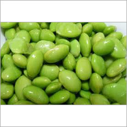 Fresh Soya Bean Seeds