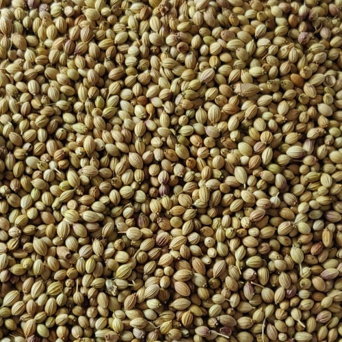 Split Coriander Seeds