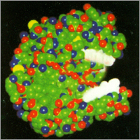 Enzymes