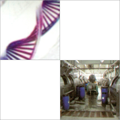 Enzymatic Desizing Agent