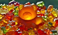 Plant Gel Gellan Gum