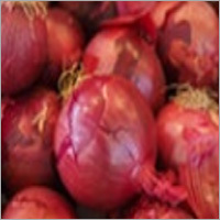 Red Onion