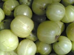 Amla