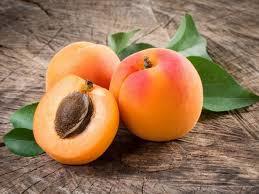 APRICOT