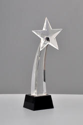 Fancy Crystal Trophy