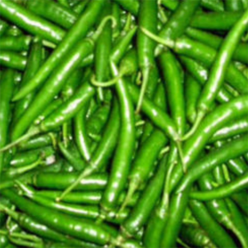 Green Chillies Green Chillies