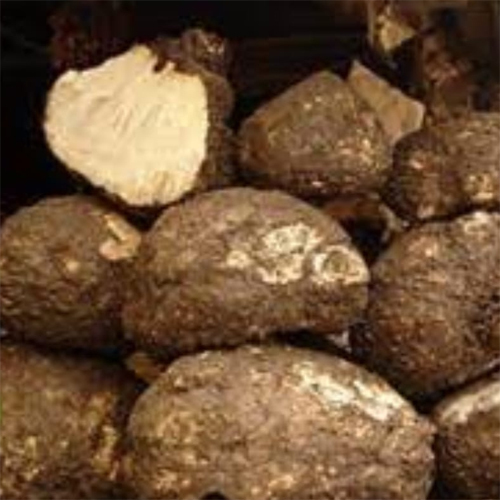 Fresh Yam Fresh Yam