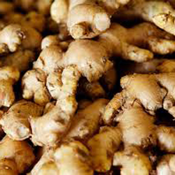High Quality Fresh Ginger