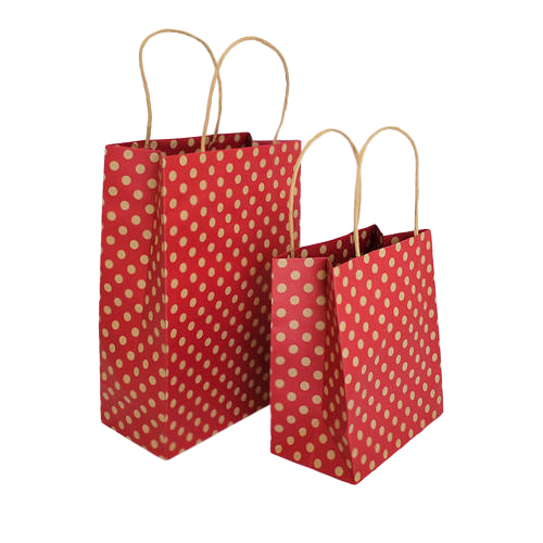 Designer Carry Bag