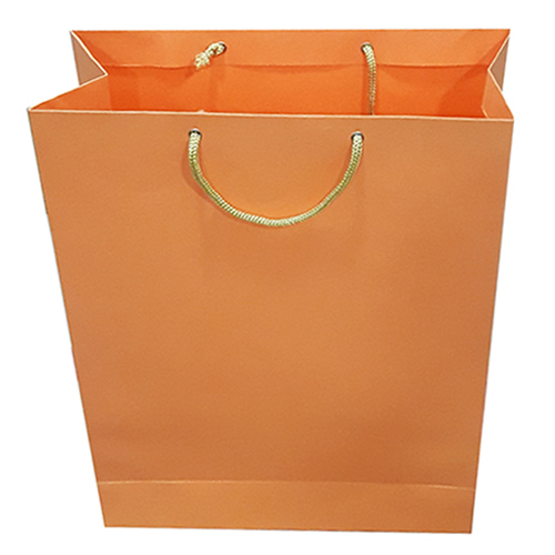 Coloring Paper Bag