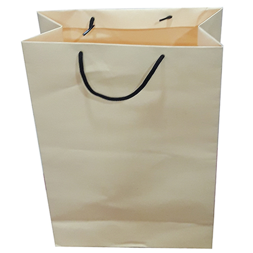Plain Paper Bags