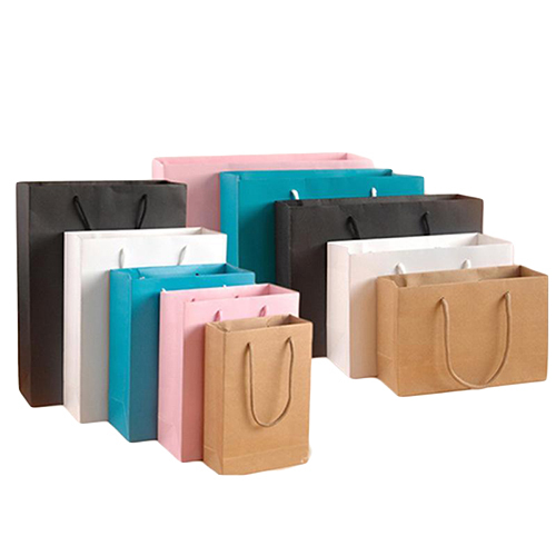 Plain Carry Paper Bag