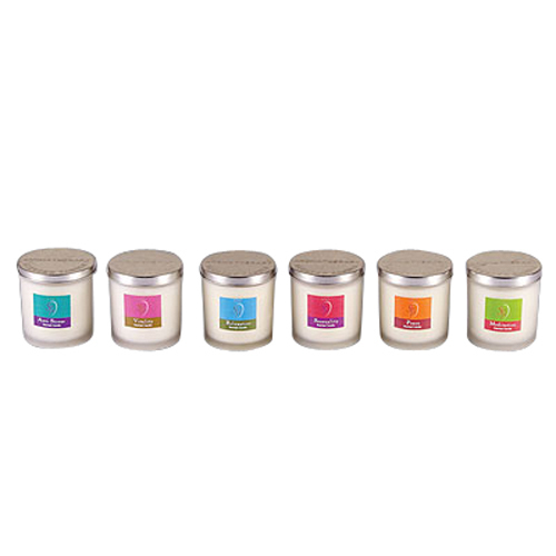 Slpa Glass With Lid