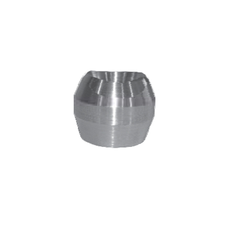 Forged Weldolet Application: Pipe Fittings
