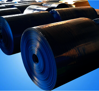 PP Corrugated Sheet Rolls