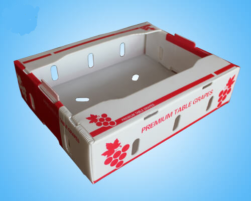 Any Shape Foldable Plastic Corrugated Grape Box