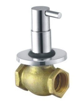 Wall-Mounted Flush Valve