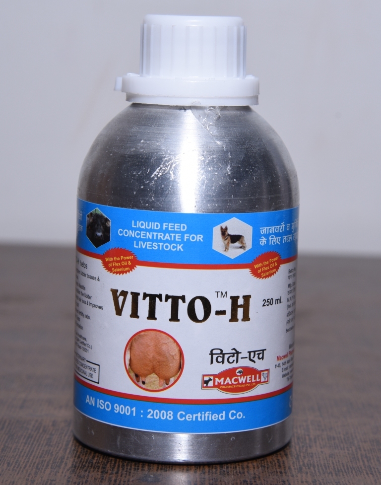 Vitto H Vertinery Medicine