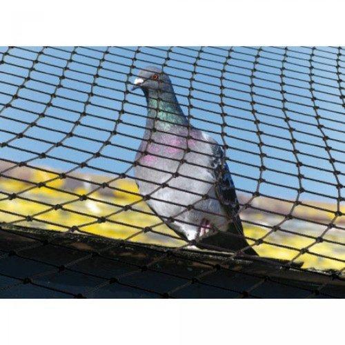 Bird Protection Net Hole Shape: Square