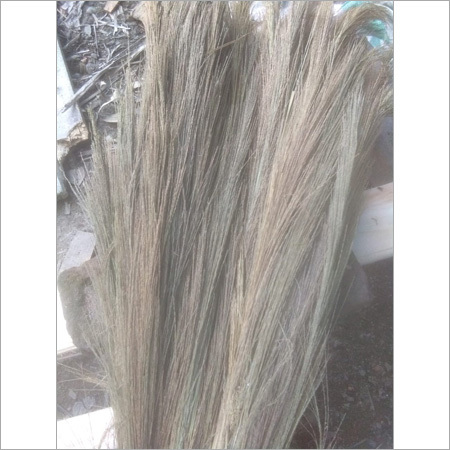 Raw Broom Grass Raw Broom Grass
