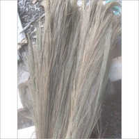 Raw Broom Grass - Moisture-free, Variable Length | Eco-friendly, Soft & Strong, Cost-effective Cleaning Solution For Homes & Offices