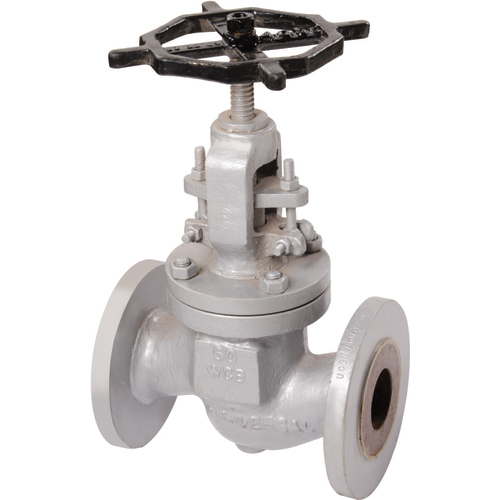 Globe Valve