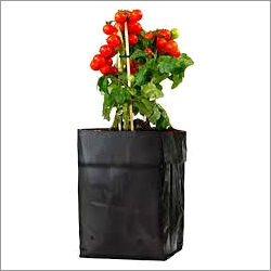 Grow Bags